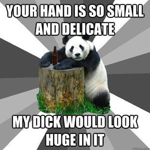 Pickup-Line Panda