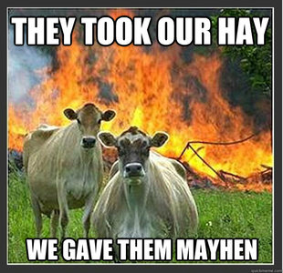 Evil cows