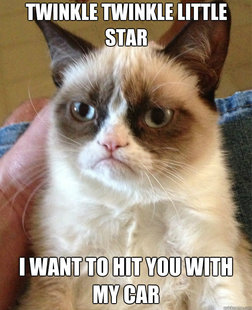 Grumpy Cat