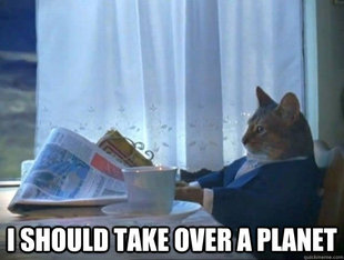 morning realization newspaper cat meme