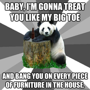 Pickup-Line Panda