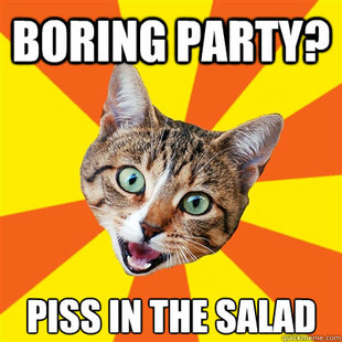 Bad Advice Cat