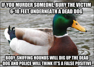 Actual Advice Mallard