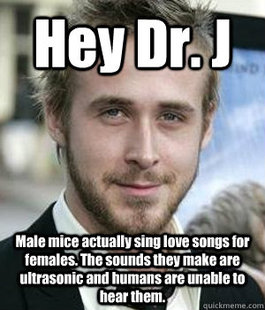 Ryan gosling