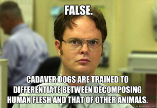 Dwight