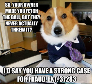 Lawyer Dog