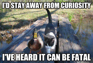 Boat advice