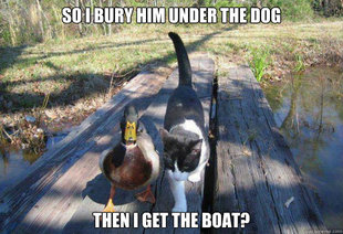 Boat advice