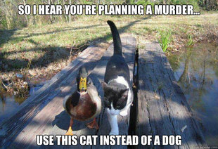 Boat advice