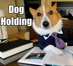 Lawyer Dog