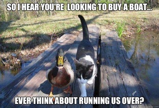 Boat advice