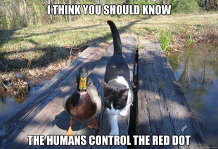 Boat advice