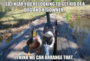 Boat advice