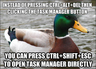 Actual Advice Mallard