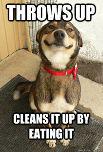 Good Dog Greg