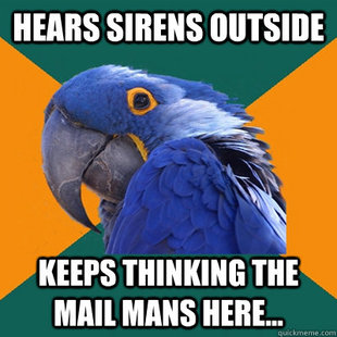 Paranoid Parrot