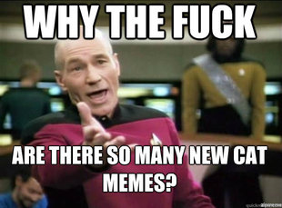 Annoyed Picard HD