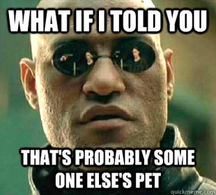 What if I told you