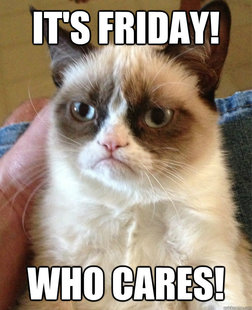 Grumpy cat
