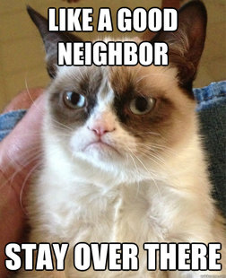 Grumpy cat