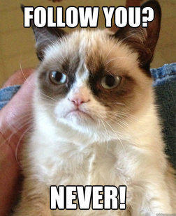 Grumpy cat