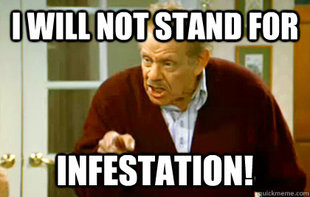 Frank Costanza
