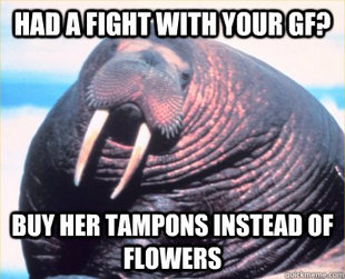 Relationship Advice Walrus