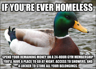 Actual Advice Mallard