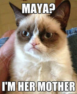 Grumpy cat