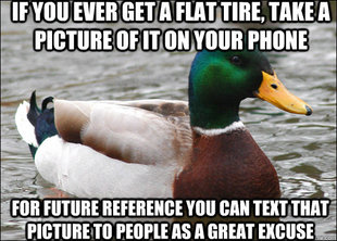 Actual Advice Mallard