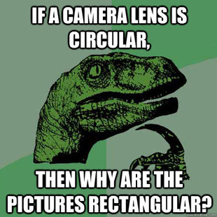 Philosoraptor