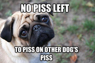 First World Dog problems