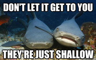 Compassionate Shark Friend