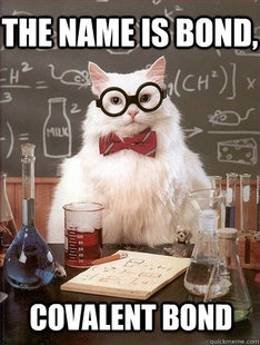 Chemistry Cat