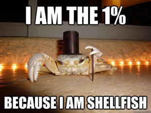 Fancy Crab