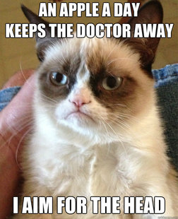 Grumpy Cat