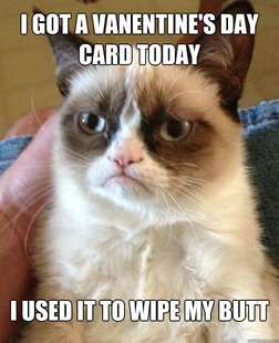Grumpy Cat