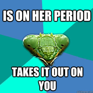 Crazy Girlfriend Praying Mantis