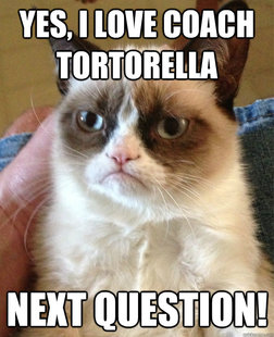 Grumpy cat