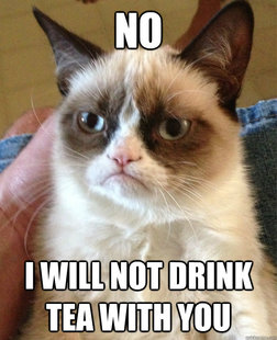 Angry Cat