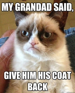 Grumpy cat
