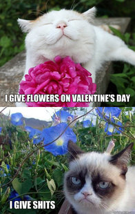 Grumpy Cat w happier cat and flowers