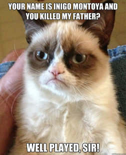 Grumpy cat