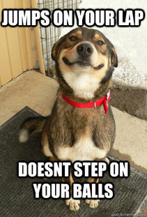 Good Dog Greg