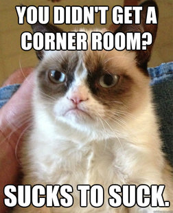 Grumpy cat