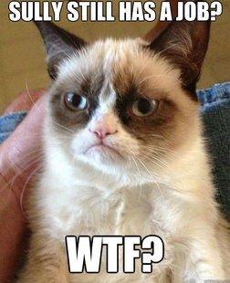 Grumpy cat
