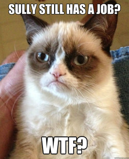 Grumpy cat