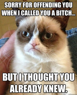 Grumpy cat