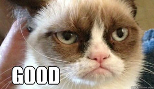 Grumpy cat