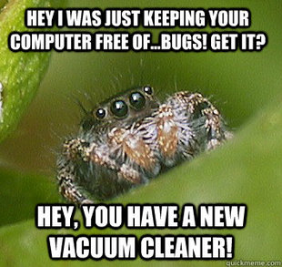 Misunderstood Spider